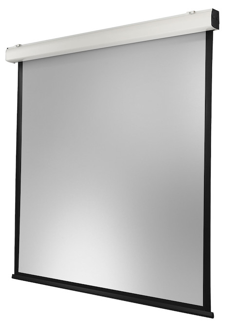 celexon electric screen Expert XL 300 x 300 cm