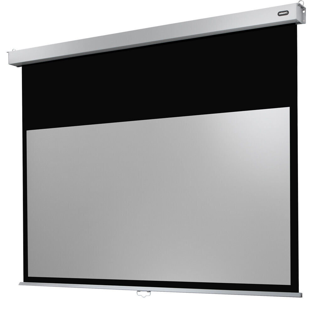 celexon screen Manual Professional Plus 280 x 158 cm  - Slow retraction