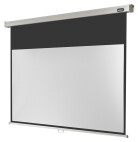 celexon screen Manual Professional 200 x 113 cm