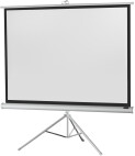 celexon Economy projectiescherm met statief 133 x 100 cm - White Edition
