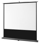 celexon Ultramobil Professional pantalla portátil 120 x 90 cm