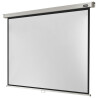 celexon screen Manual Professional 300 x 225 cm