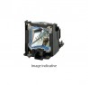 Sanyo LMP128 Lampe d’origine pour PLC-XF1000, PLC-XF71