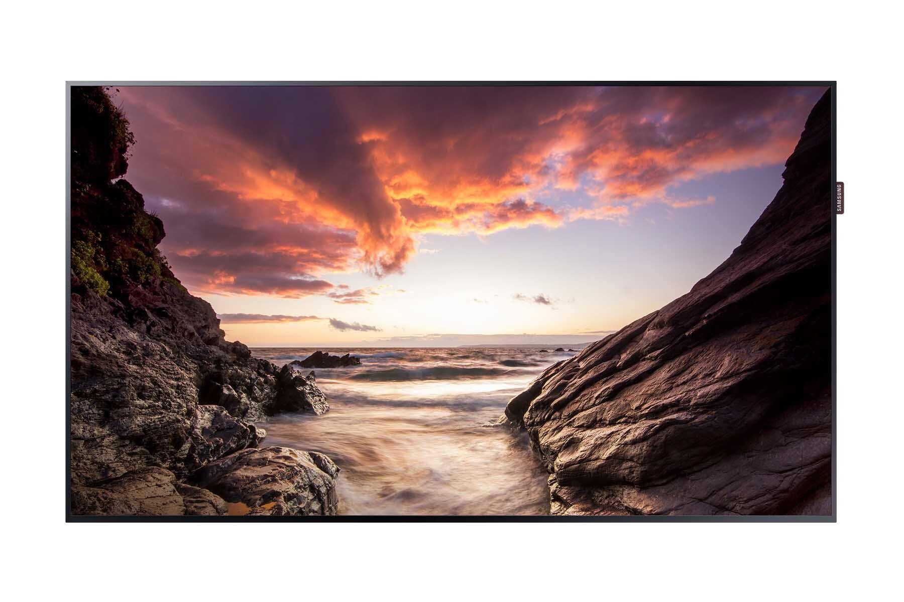 Smart Signage Display PH49F-P