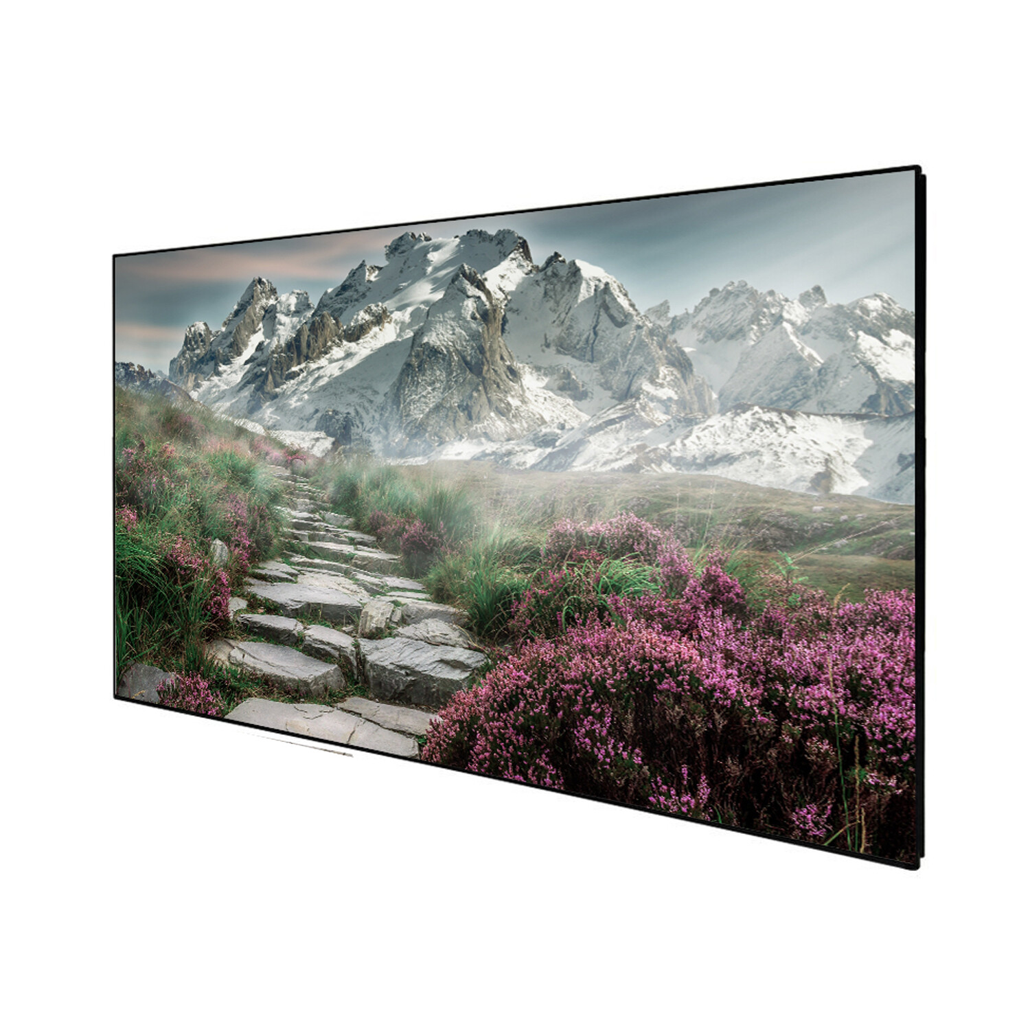 CELEXON DELUXX Cinema Rahmenleinwand SlimFrame 203 x 114cm, 92' - SOUNDVISION