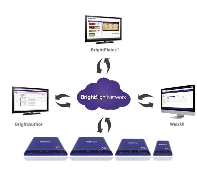 BrightSign-Network-Manager-1x-Monat-Player