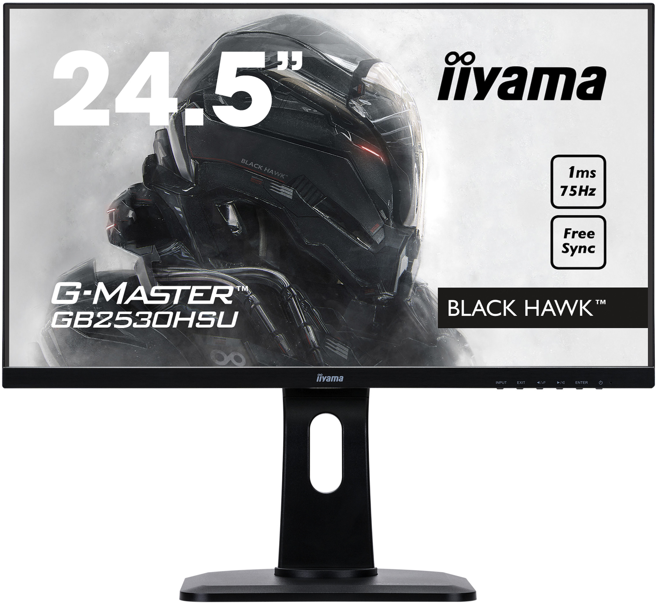 Iiyama-G-MASTER-GB2530HSU-B1