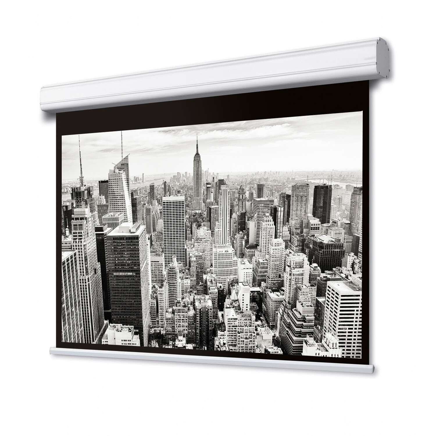 Professional Motorleinwand 16:9 Mattweiss Vision Pro 223 x 125 cm