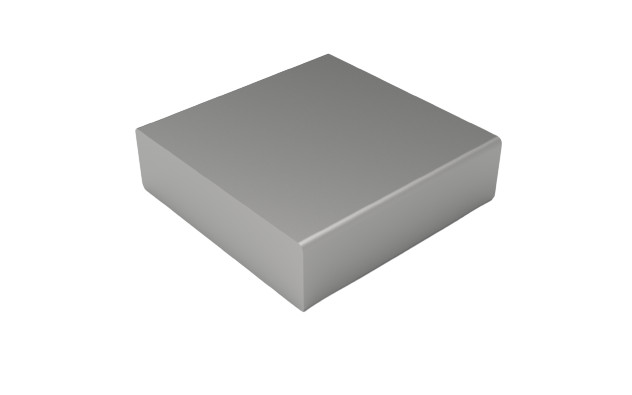 celexon-egalisatiegewicht-0-8-kg-voor-Adjust-W-pyloonsysteem