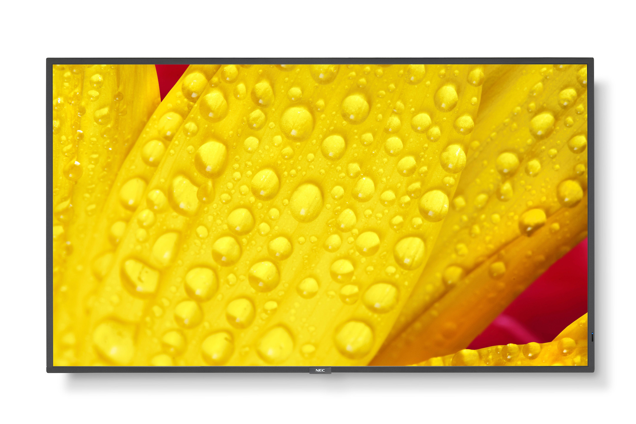 NEC-MultiSync-M551-2-LCD-55-Message-Large-Format-Display-Demoware