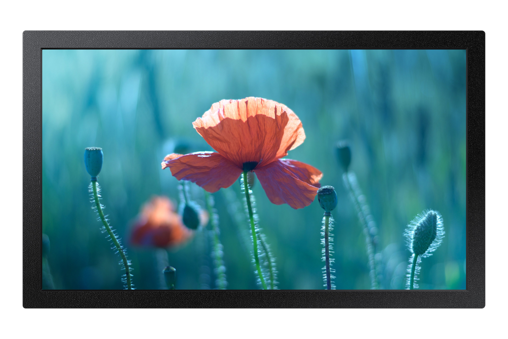 Samsung-QB13R-M-Demoware