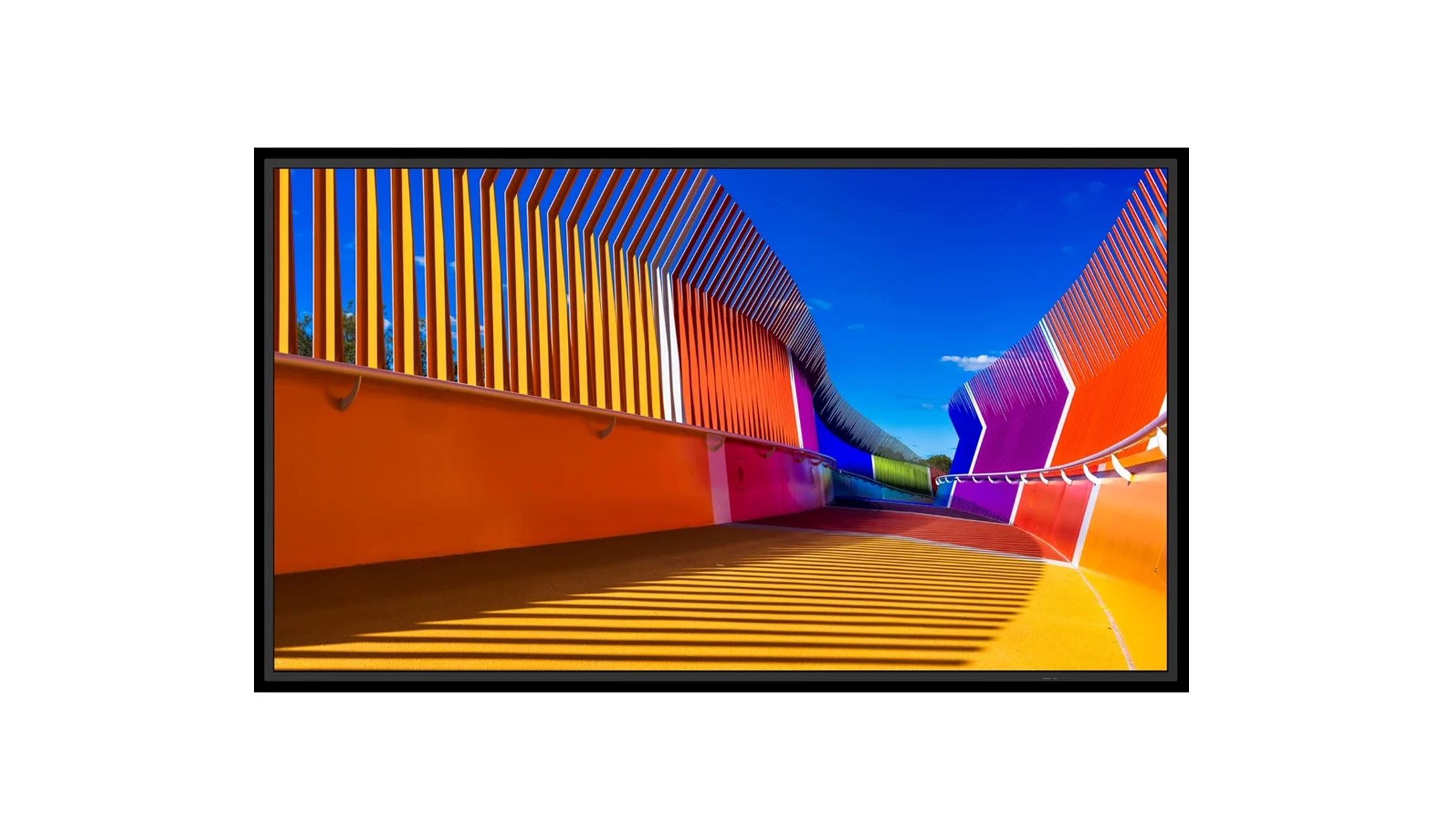 Sharp-MultiSync-E559-55-essentieel-grootformaatbeeldscherm