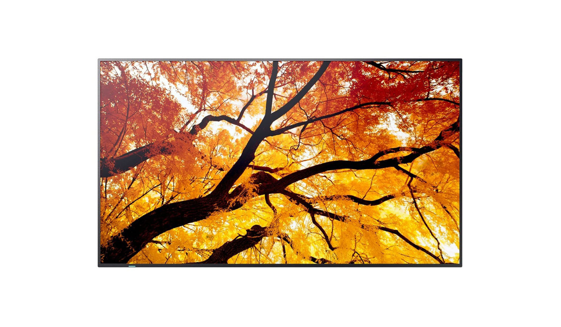 Sharp MultiSync M502 50" Professional Large Format Display Sharp-MultiSync-M502-50-inch-professioneel-grootformaatbeeldscherm