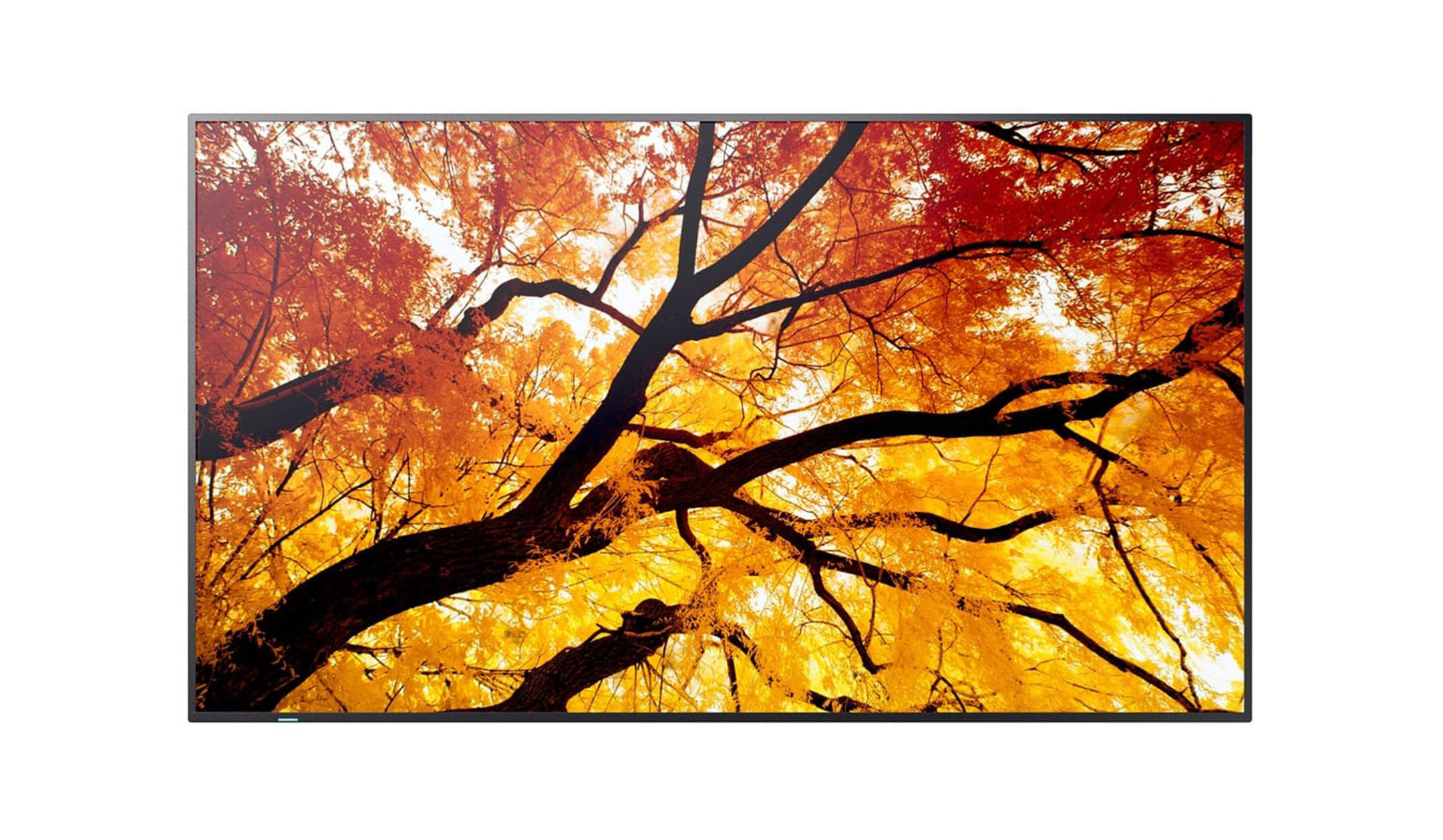 Sharp MultiSync M752 75" Professional Large Format Display Sharp-MultiSync-M752-75-inch-professioneel-grootformaatbeeldscherm