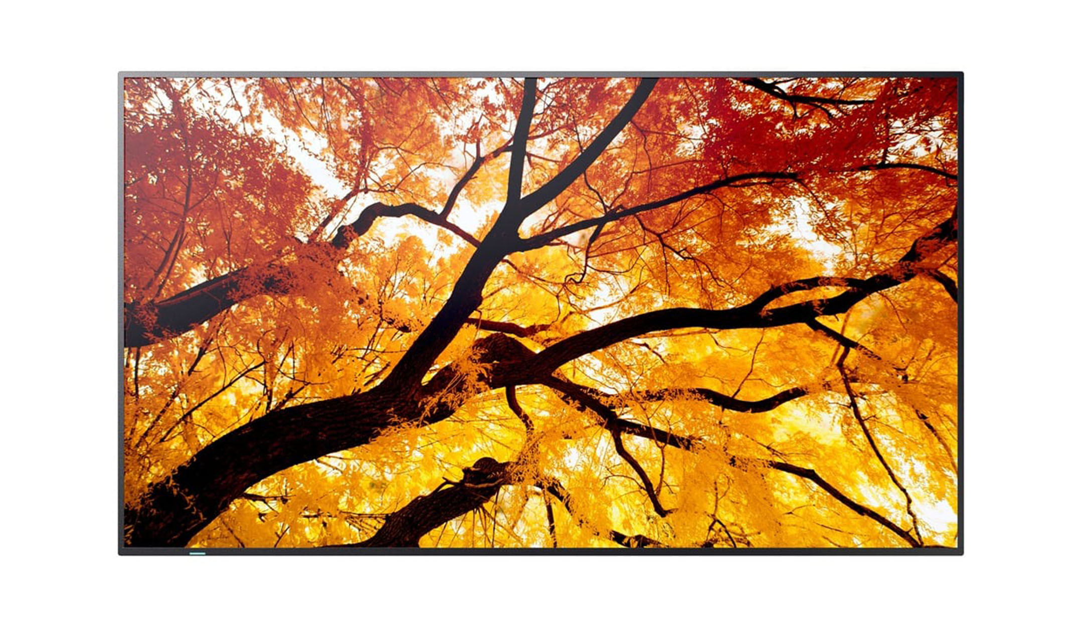 Sharp MultiSync M862 86" Professional Large Format Display Sharp-MultiSync-M862-86-professioneel-grootformaatbeeldscherm