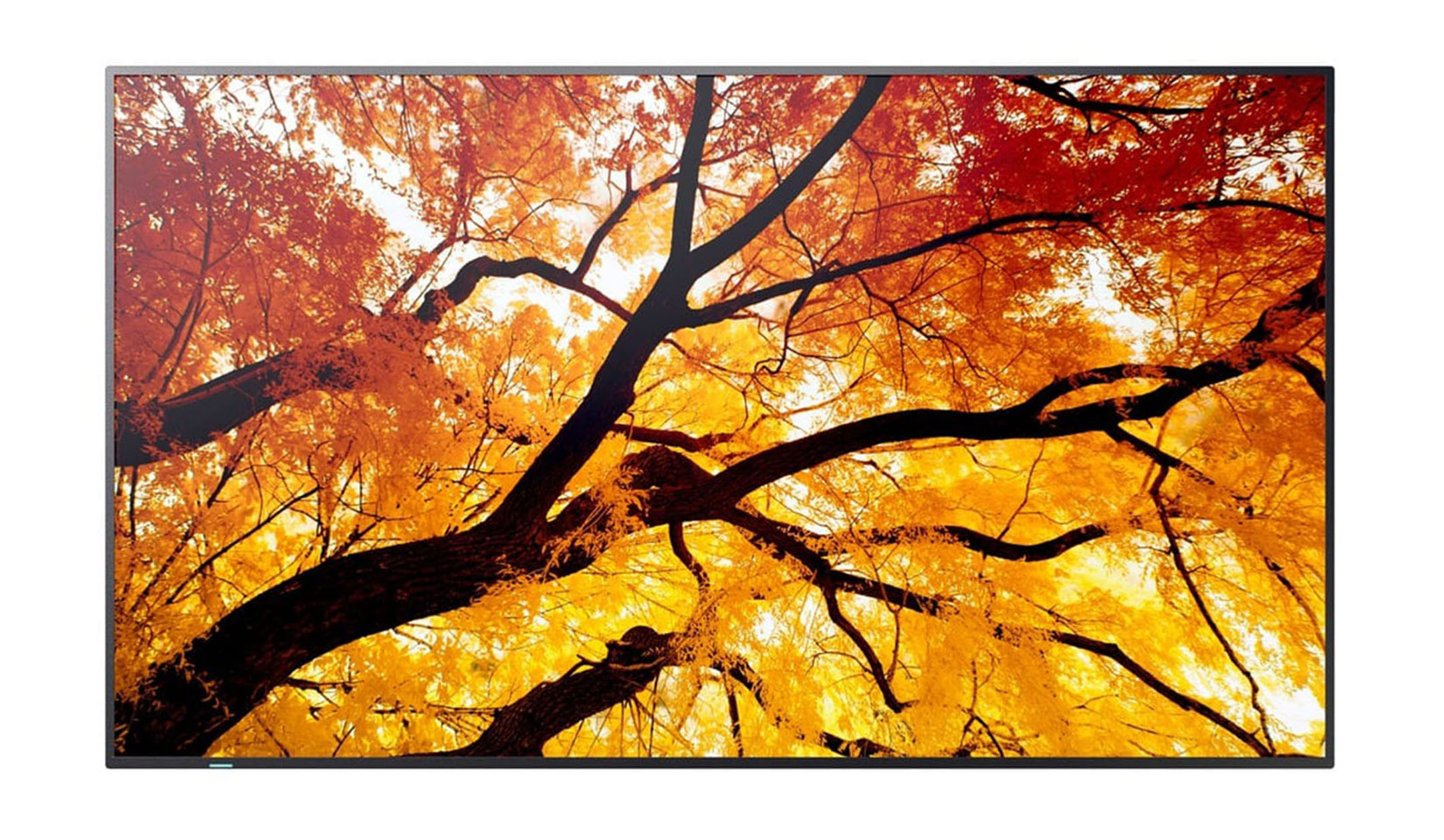 Sharp-MultiSync-E244F-24-inch-LCD-beeldscherm-voor-kantoor-en-industriele-toepassingen