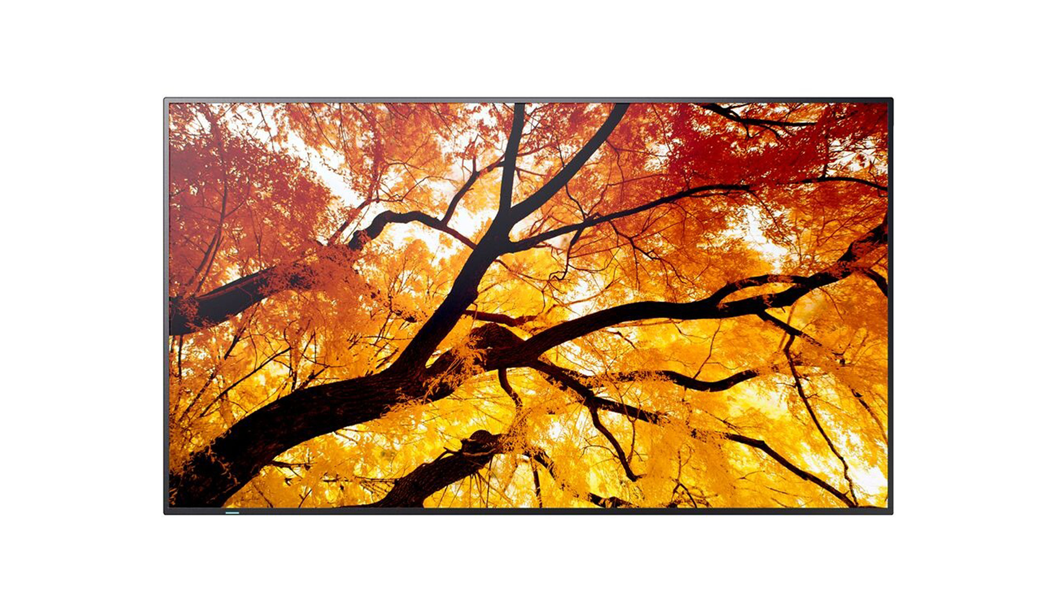 Sharp-MultiSync-M652-65-4K-UHD-Large-Format-Display