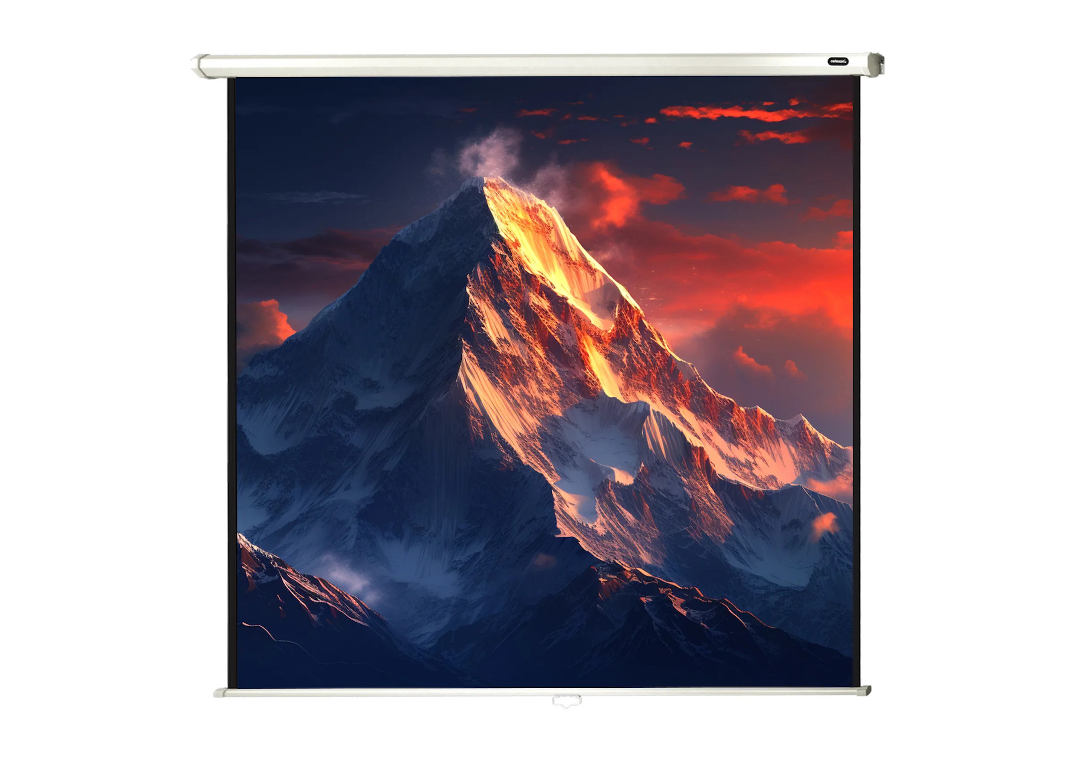 celexon-Rollo-Economy-projectiescherm-220-x-220-cm-122