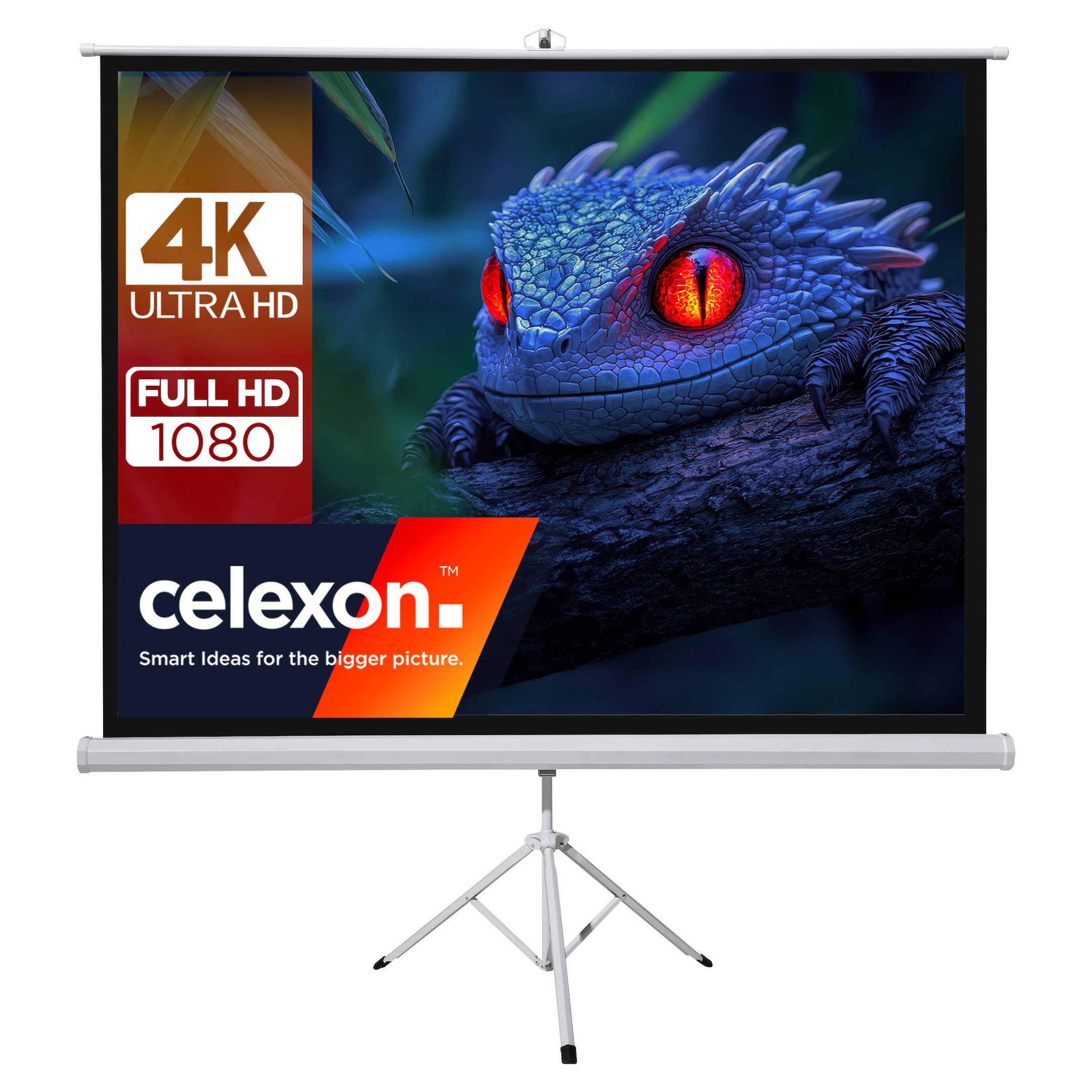 celexon-basic-Stativ-Leinwand-110-200x200-cm-1-1-mobile-transportable-4K-Full-HD-Leinwand-Beamerleinwand-mit-Stativ-fur-Heimkino-und-Buroprasentationen-Blitzschneller-Aufbau-in-3-Schritten