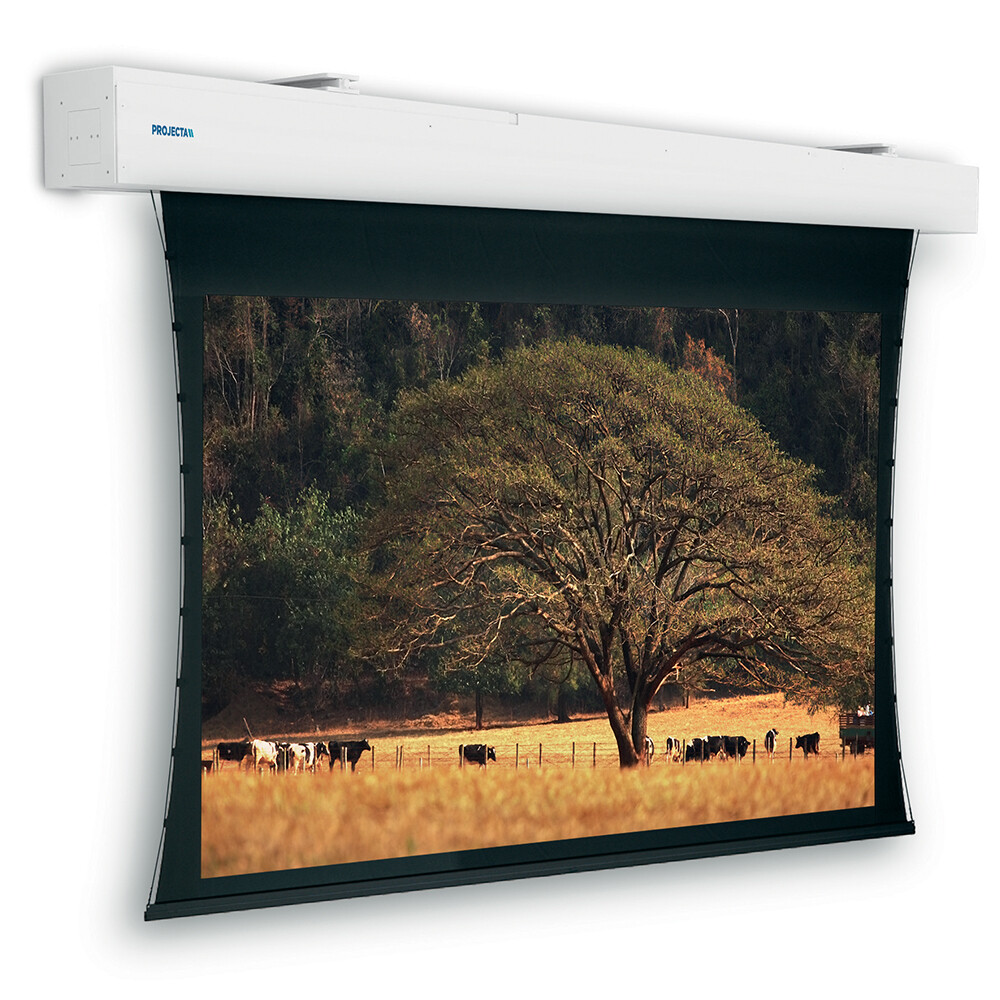 Tensioned Elpro Large Electrol, 400 x 300 cm, 4:3, mattweiss