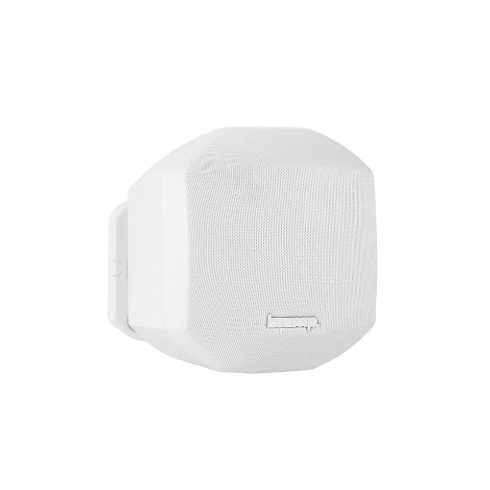 Biamp-MASK2-Set-1-paar-Wit