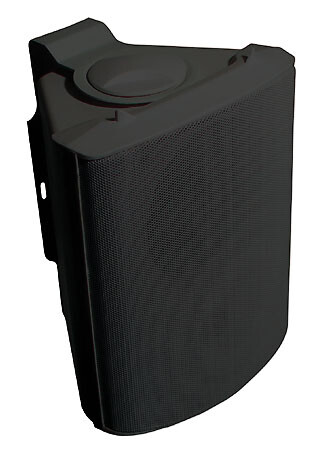 Visaton-WB-13-100-V-8-Ohm-schwarz