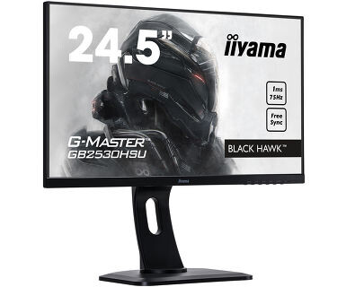 Iiyama-G-MASTER-GB2530HSU-B1