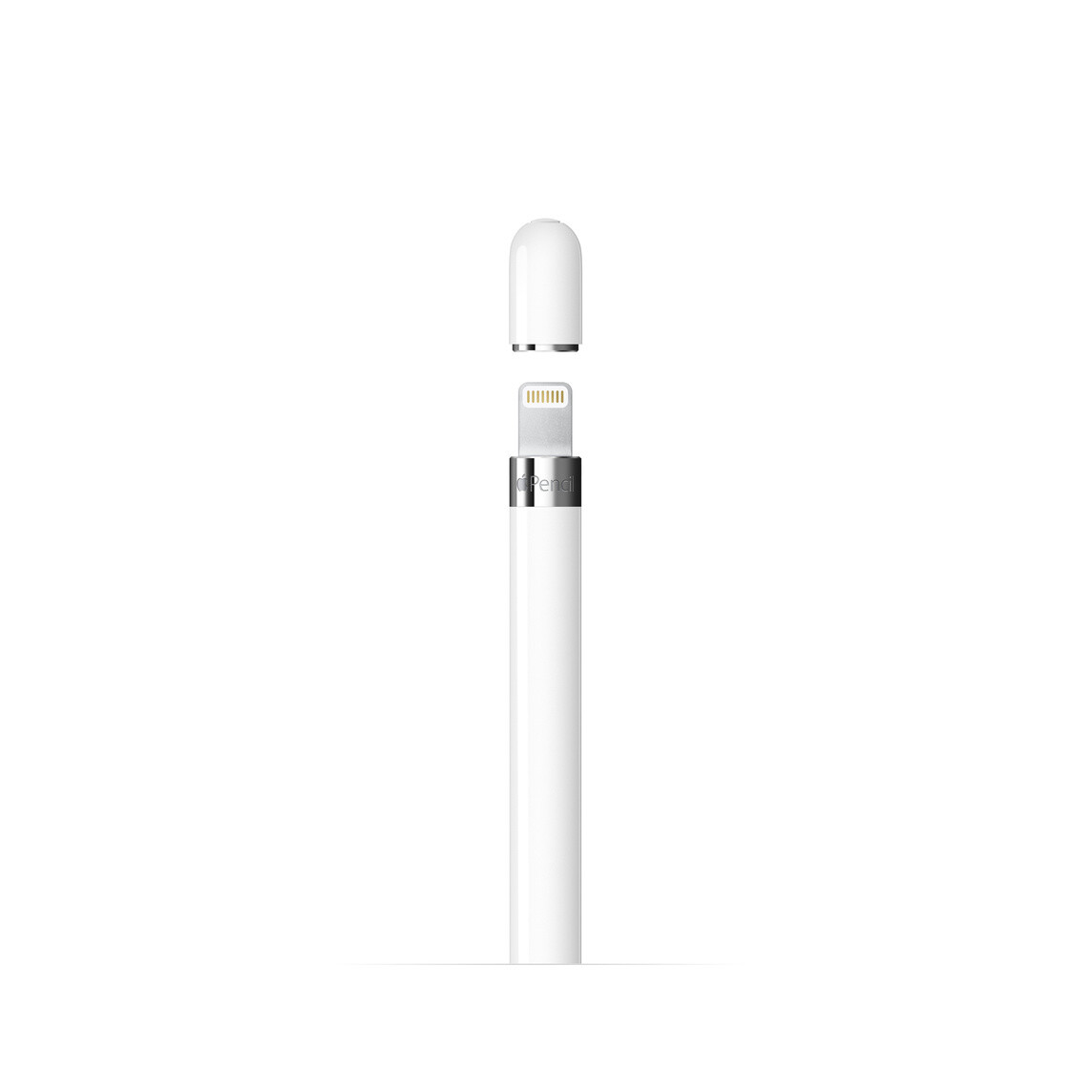Apple-Pencil-1-Generation-mit-USB-C-auf-Apple-Pencil-Adapter-und-Lightning-Adapter