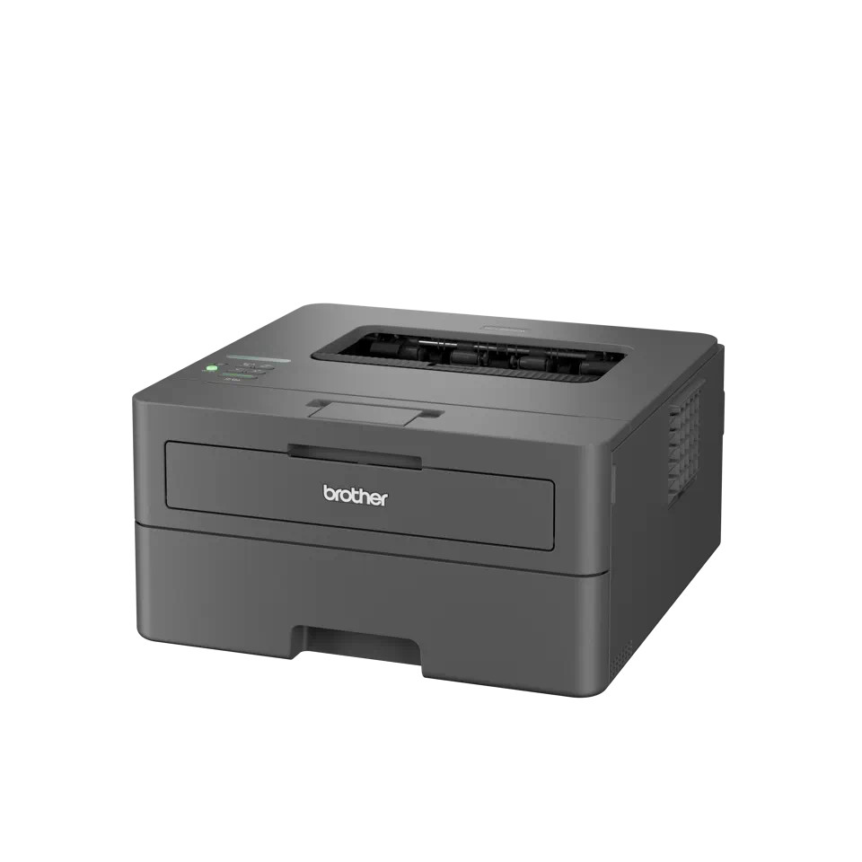 brother-hl-l2400dwe-laserdrucker-s-w-mit-duplex-druck-wlan-4-gratis-monaten-ecopro