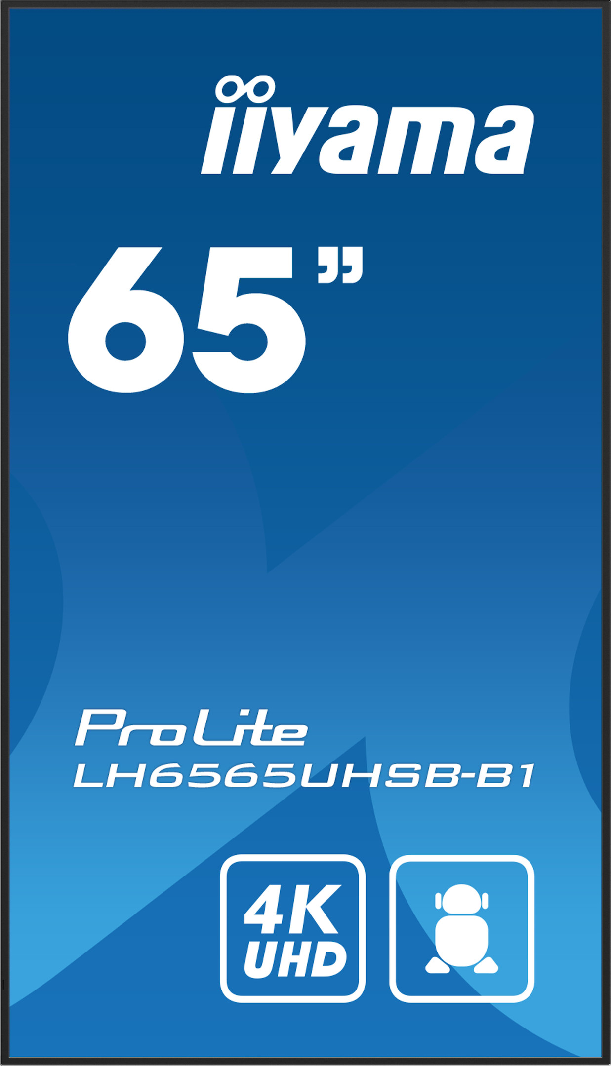 iiyama-PROLITE-LH6565UHSB-B1