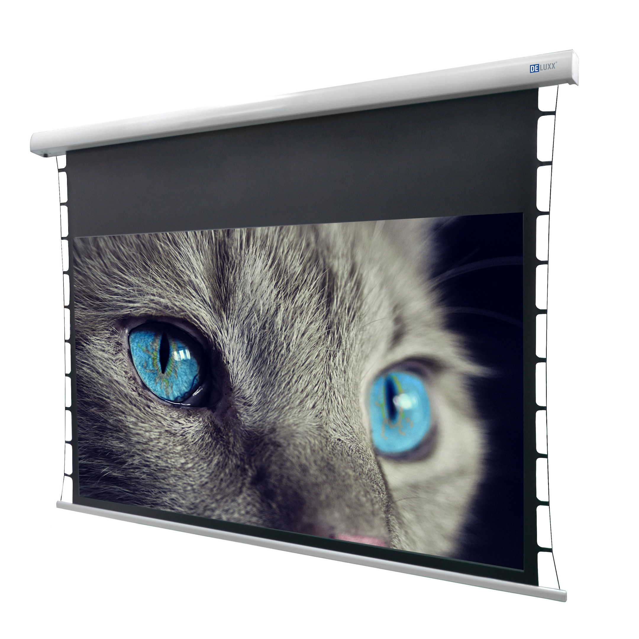DELUXX-Cinema-Hochkontrastleinwand-Tension-354-x-199cm-160-DARKVISION-Demoware