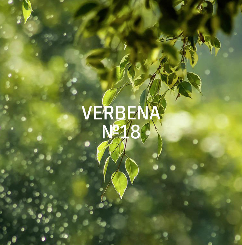 KUKUI 200ml Duft für QUANTUM & SMART - Verbena N°18 KUKUI 200ml Duft für QUANTUM & SMART - Verbena N°18