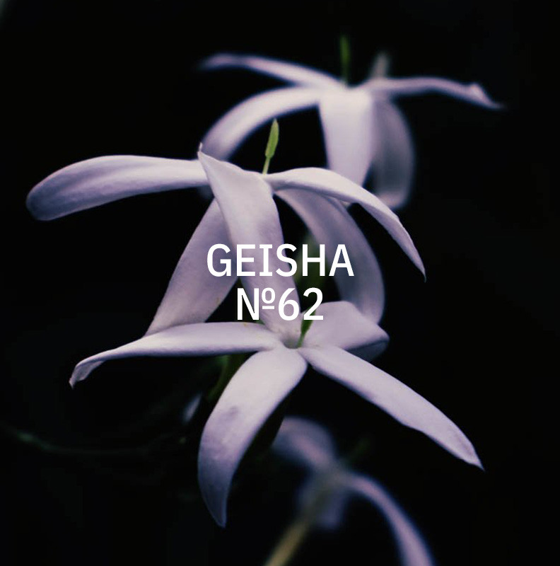 KUKUI 200ml Duft für QUANTUM & SMART - Geisha N°62 KUKUI 200ml Duft für QUANTUM & SMART - Geisha N°62