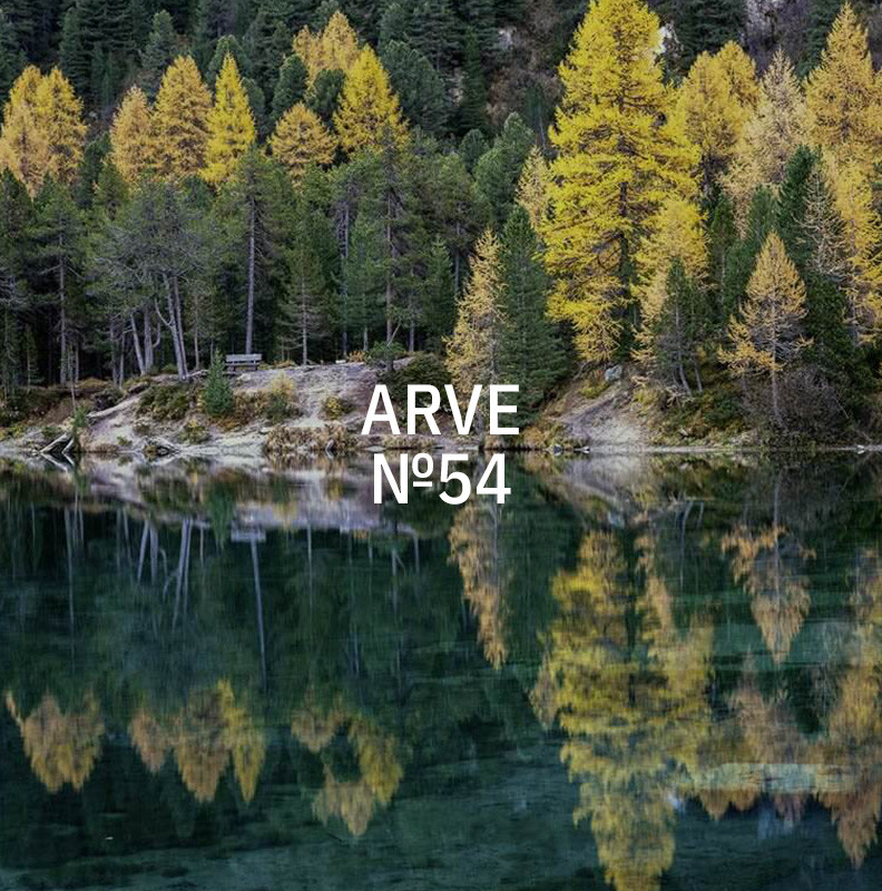 KUKUI 200ml Duft für QUANTUM & SMART - Arve N°54 KUKUI 200ml Duft für QUANTUM & SMART - Arve N°54