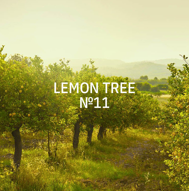 KUKUI 400ml Duft für AERO - Lemon Tree N°11 KUKUI 400ml Duft für AERO - Lemon Tree N°11