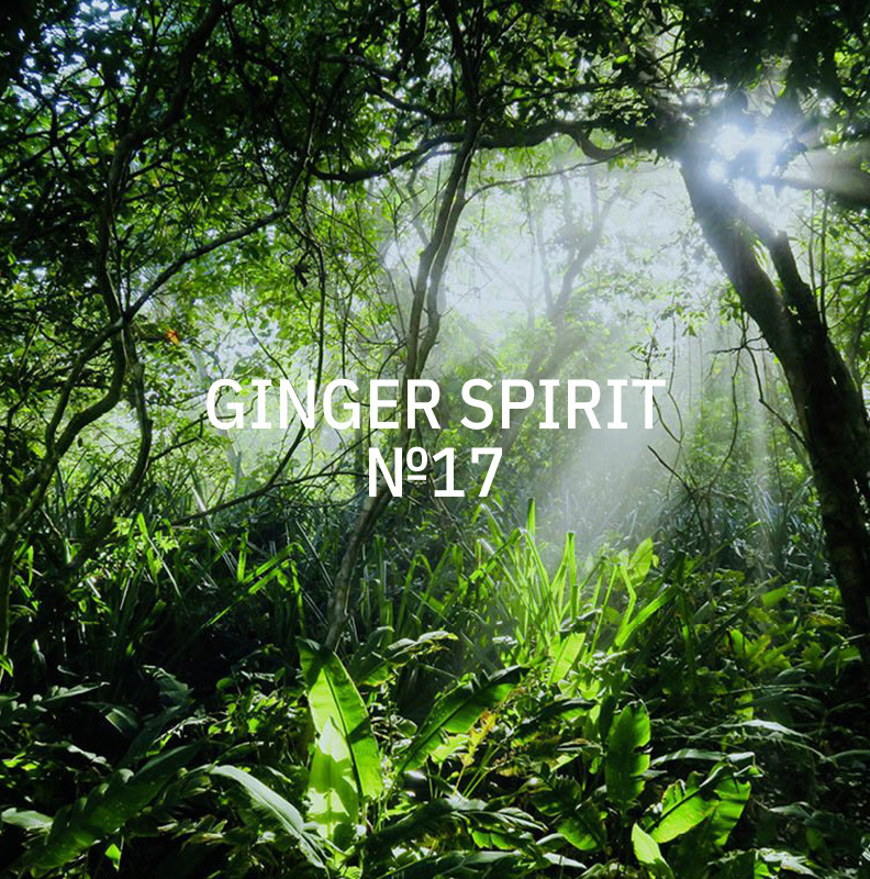 KUKUI 400ml Duft für AERO - Ginger Spirit N°17 KUKUI 400ml Duft für AERO - Ginger Spirit N°17