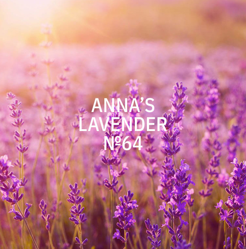 KUKUI 400ml Duft für AERO - Anna's Lavender N°64 KUKUI 400ml Duft für AERO - Anna's Lavender N°64
