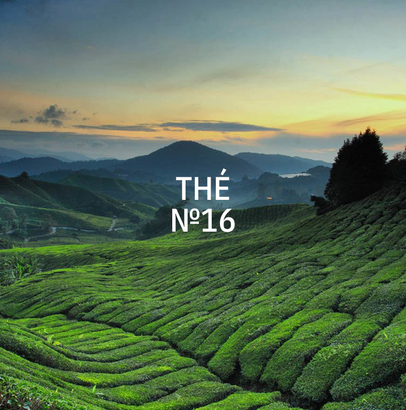 KUKUI-Stick-Diffusor-Medium-250-ml-The-N-16