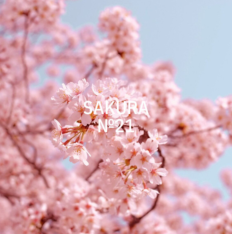 KUKUI-Stick-Diffusor-Medium-250-ml-Sakura-N-21