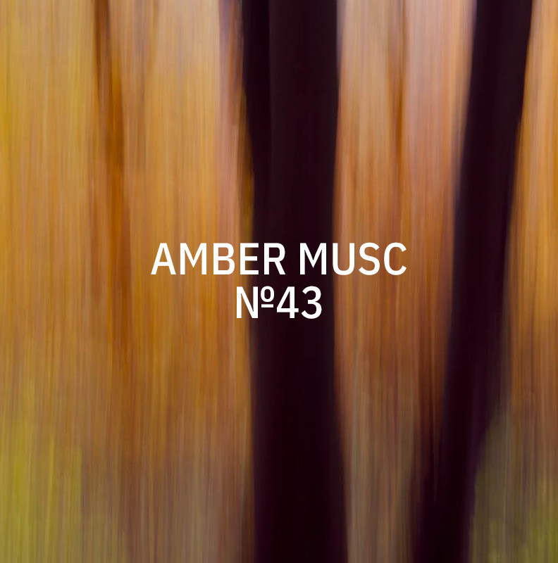 KUKUI-Stick-Diffusor-Medium-250-ml-Amber-Musc-N-43