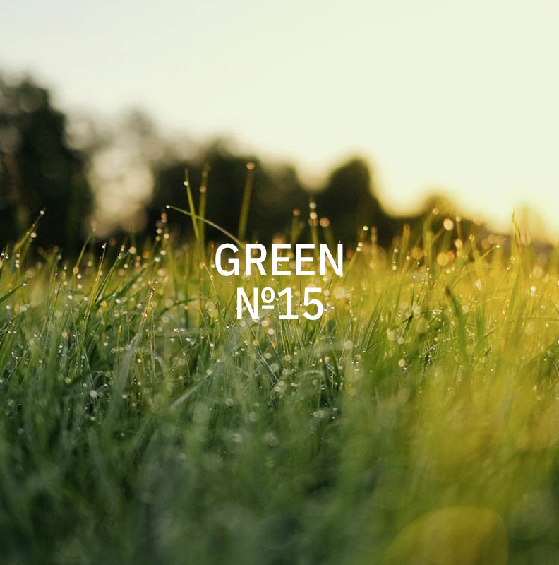 KUKUI-Stick-Diffusor-Large-700-ml-Green-N-15