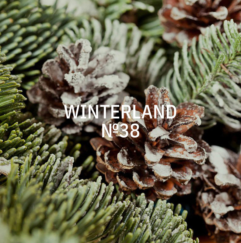 KUKUI Stick-Diffusor Large 700 ml - Winterland N°38 KUKUI Stick-Diffusor Large 700 ml - Winterland N°38