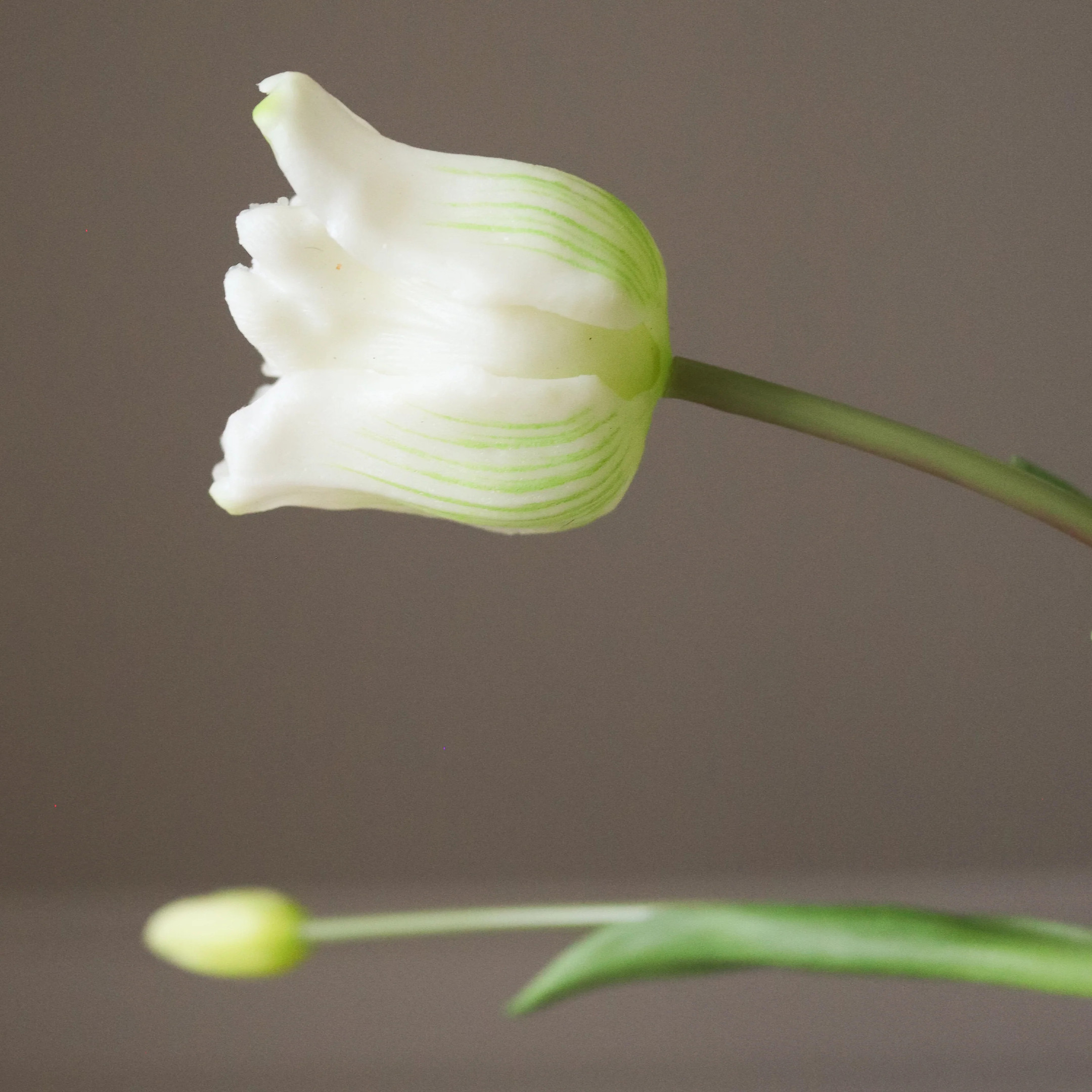 Botané White Triumph Tulip Bouquet Kunstblumenstrauß Botané White Triumph Tulip Bouquet Kunstblumenstrauß