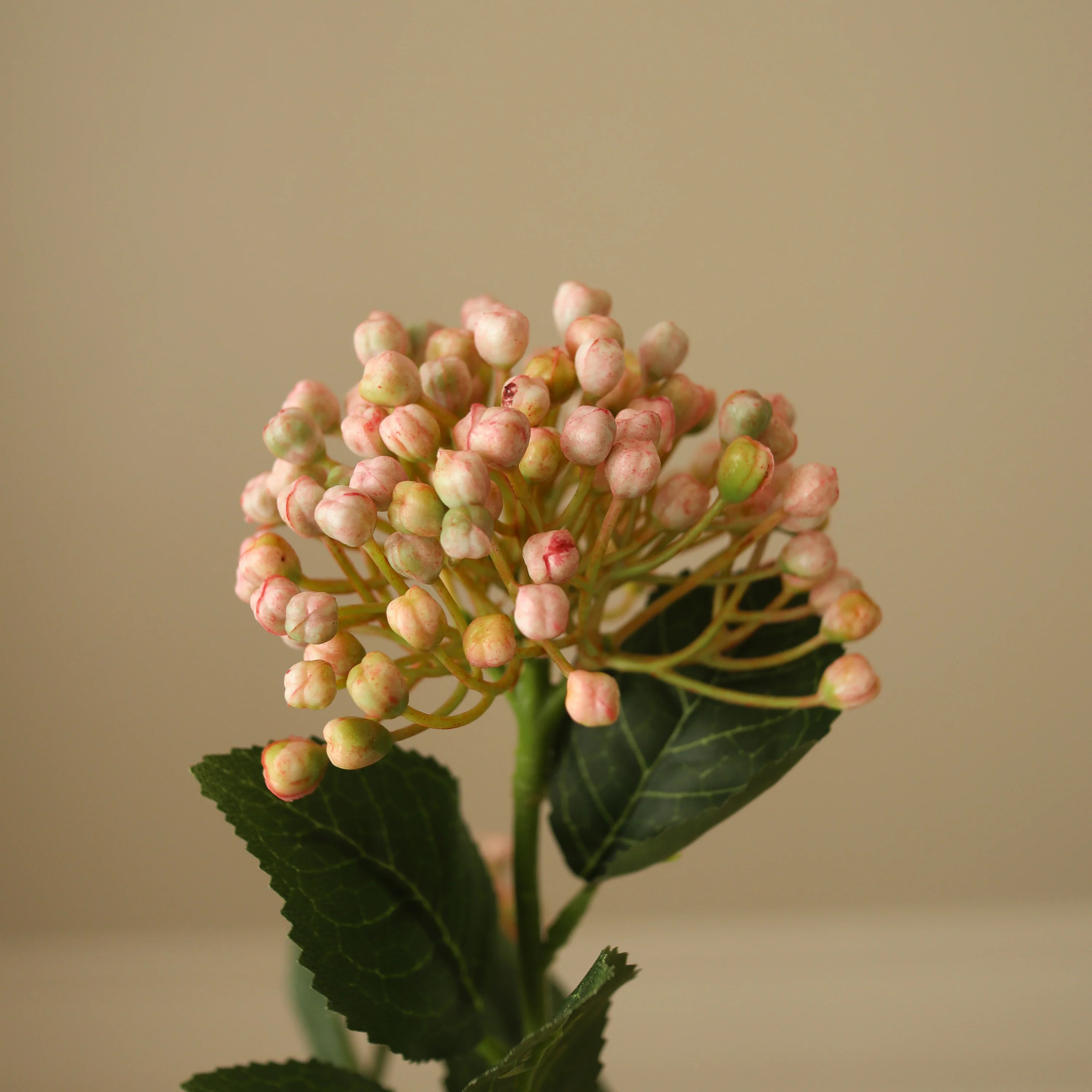 Botané Light Pink Hydrangea Berry Branch Kunstblumenzweig