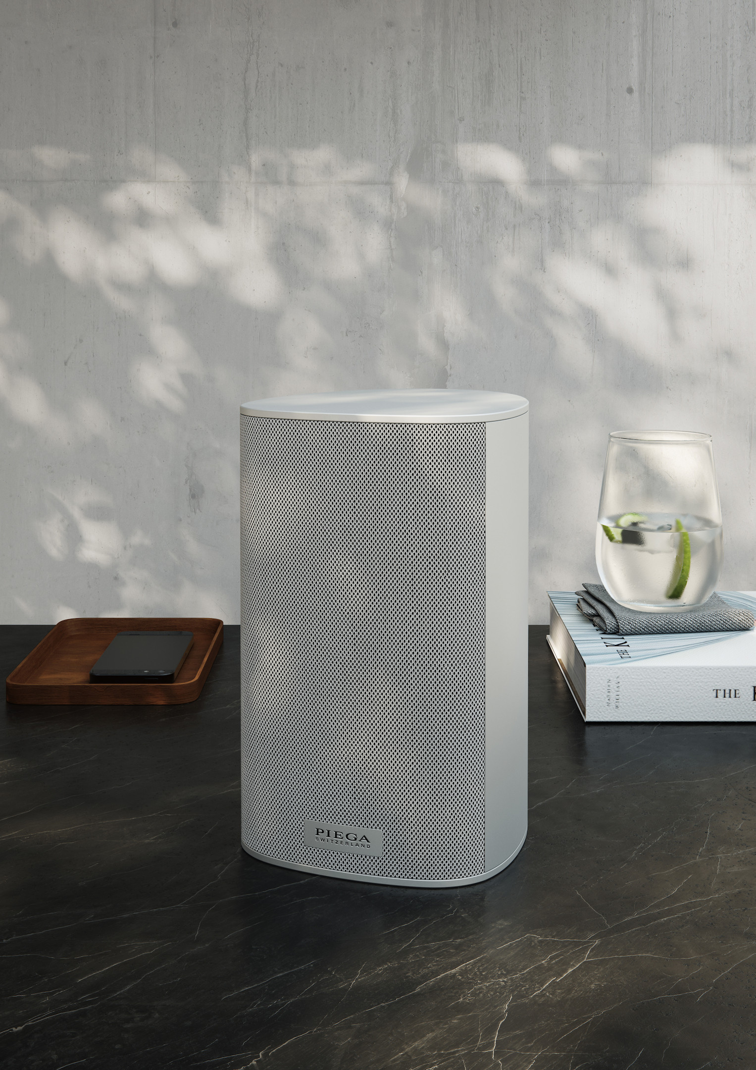 PIEGA-Ace-30-Wireless-RX-Regallautsprecher-All-In-One-System-mit-integrierten-Streaming-Clients-einfacher-TV-Integration-Farbe-Gehause-Aluminium-Abdeckung-Grau-Stuck-Demoware