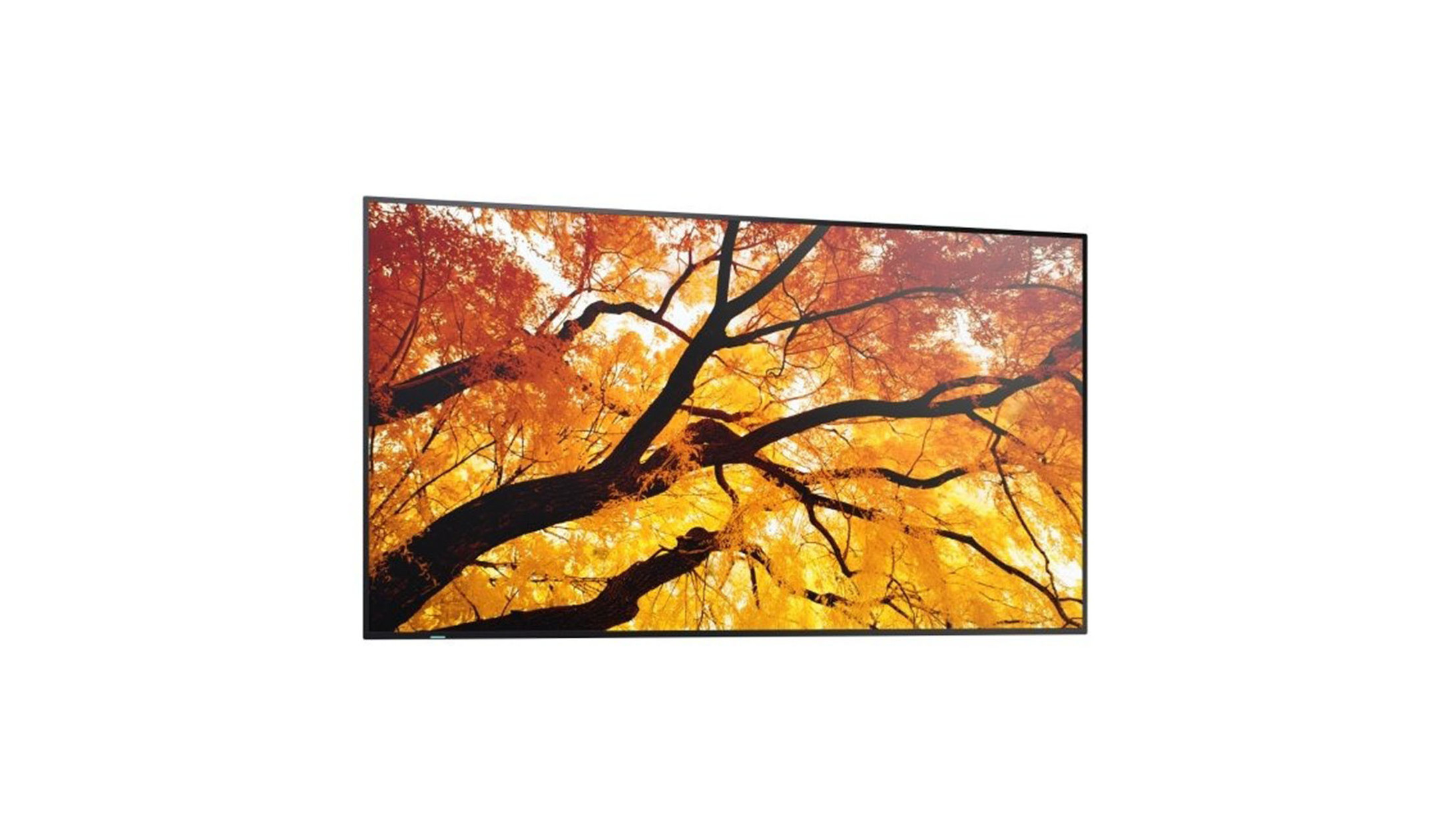 Sharp-MultiSync-M862-86-professioneel-grootformaatbeeldscherm