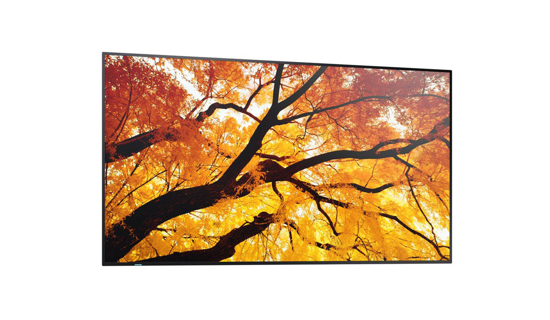 Sharp-MultiSync-M652-65-4K-UHD-Large-Format-Display