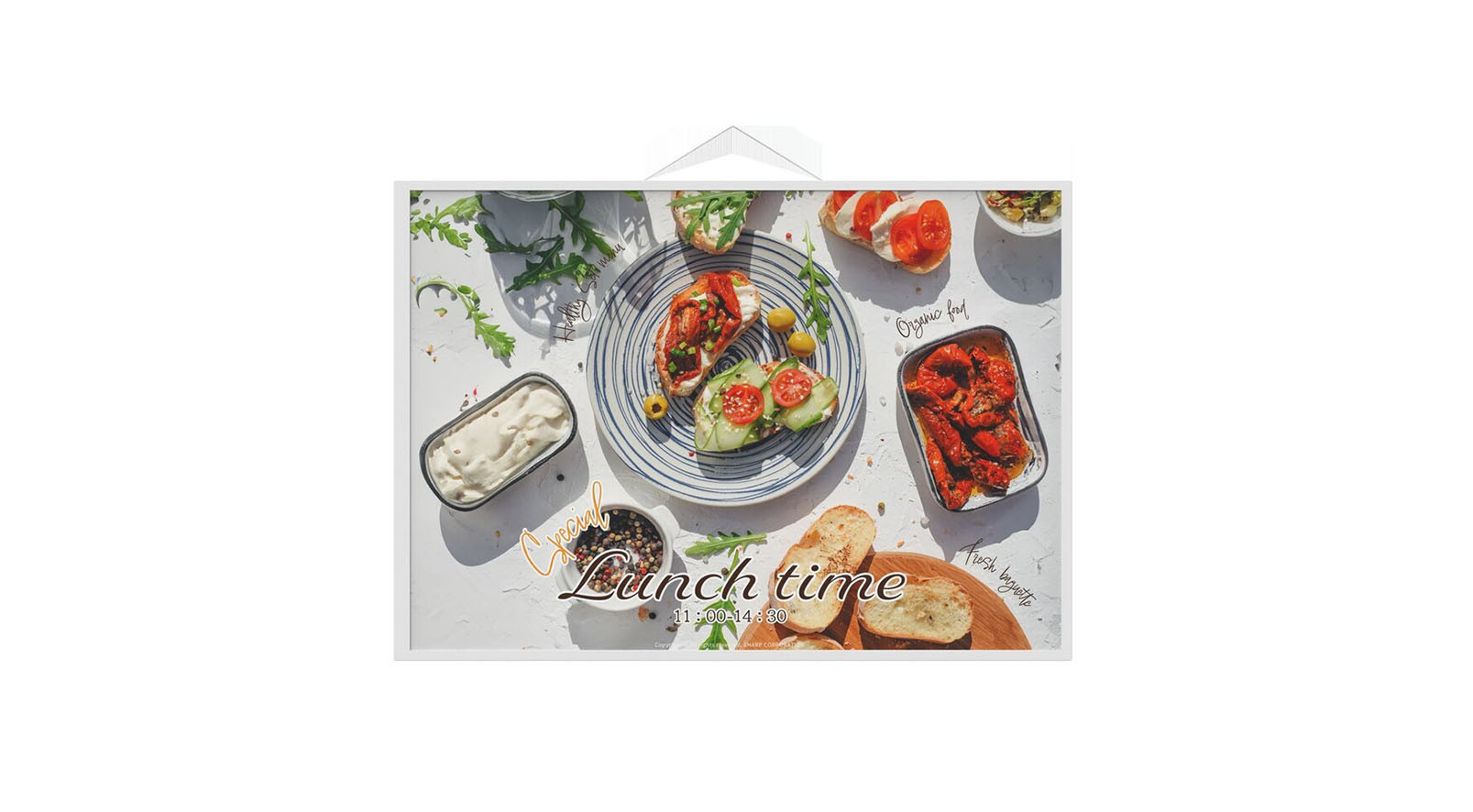 Sharp-EP-CA22-ePaper-Display