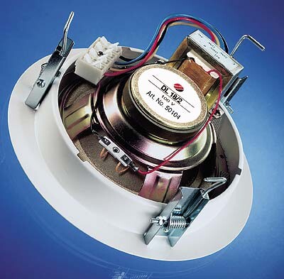 Visaton-DL-18-2-100-V