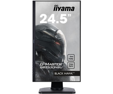 Iiyama-G-MASTER-GB2530HSU-B1